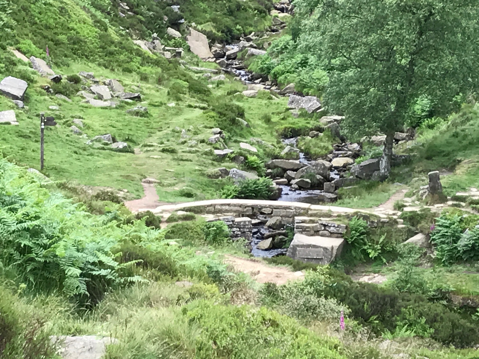 Bronte Bridge